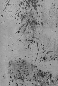 Black and white photograph of a weathered concrete surface with scattered speckled marks and fine scratched lines, exploring texture, materiality, and the traces of time.