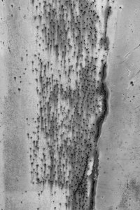 Black and white photograph of a weathered concrete surface with speckled mineral staining and a vertical fissure, exploring texture, materiality, and the subtle traces of time.
