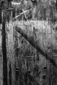 Black and white photograph of a weathered timber wall bearing carved initials, scratches, and layered marks, exploring memory, materiality, texture, and the traces of human presence.